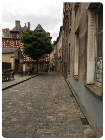 Le Celestia - Centre Historique - Daire Rennes Dış mekan fotoğraf